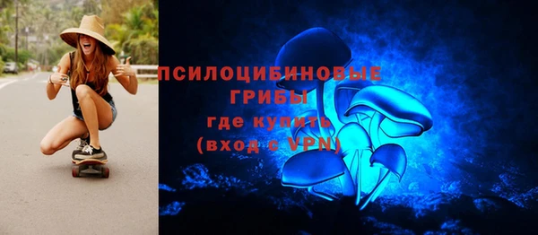 первитин Горнозаводск