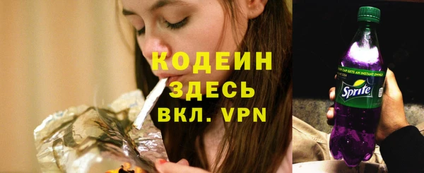 стаф Горняк