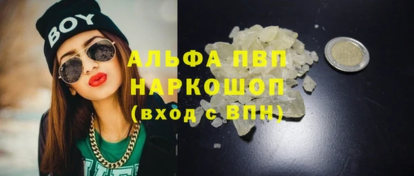 стаф Горняк