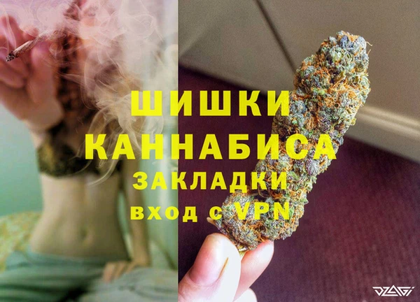 стаф Горняк