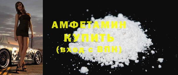 стаф Горняк