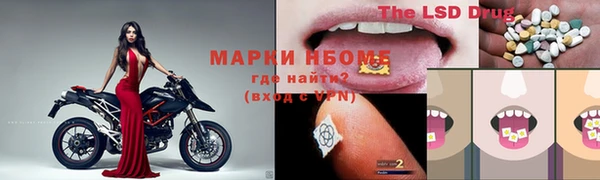 стаф Горняк