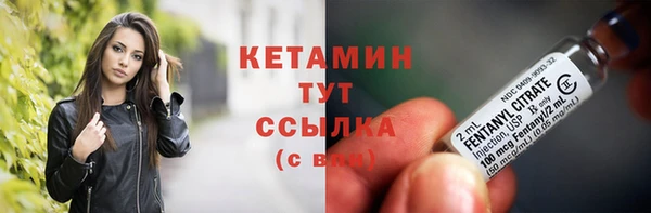 стаф Горняк