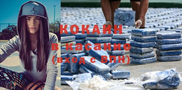 стаф Горняк