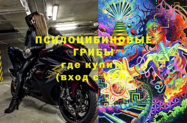 соль ск Горно-Алтайск