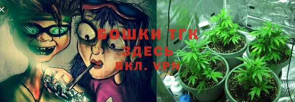 соль ск Горно-Алтайск