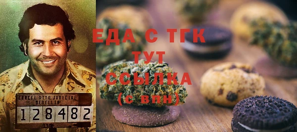 стаф Горняк