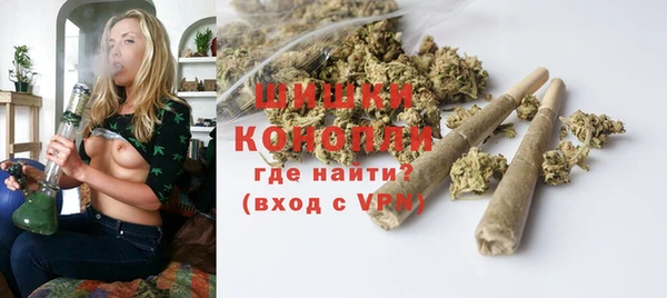 стаф Горняк
