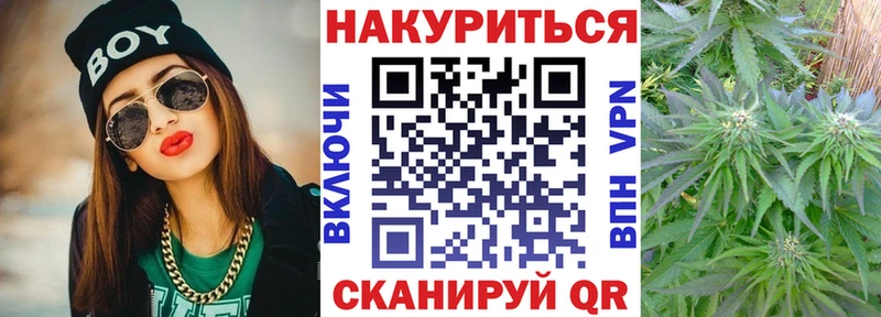 цена   Невель  Конопля план 